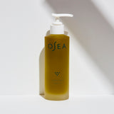 Undaria Algae Oil