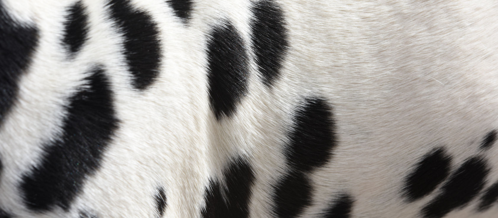 How to treat & prevent hyperpigmentation