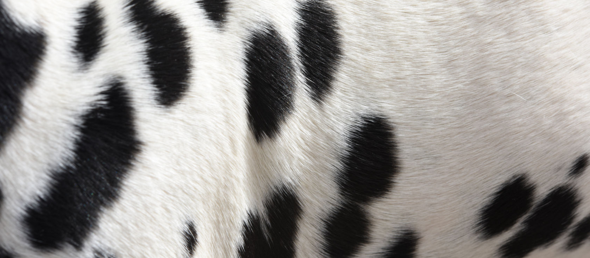 How to treat & prevent hyperpigmentation