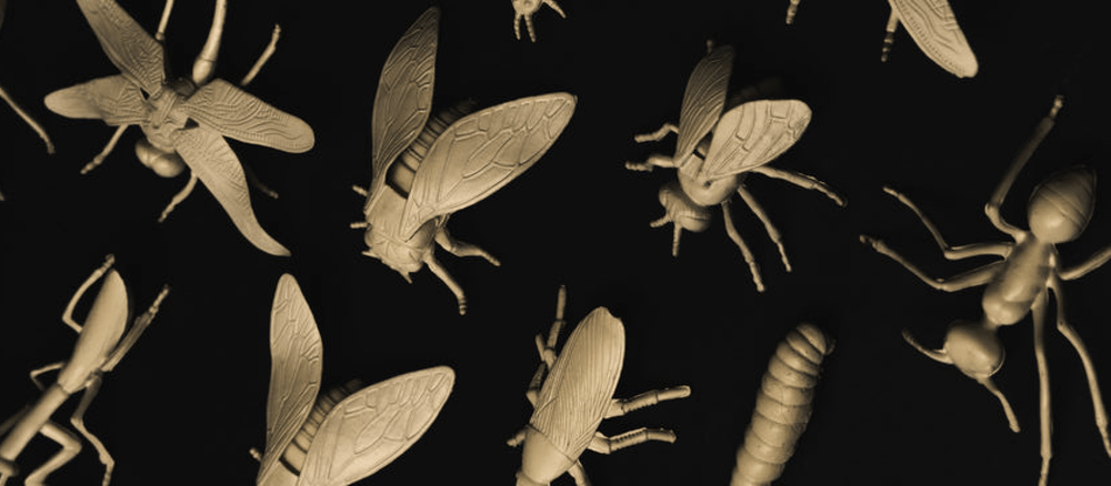 skincare for bug bites