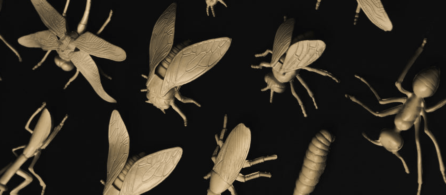 skincare for bug bites