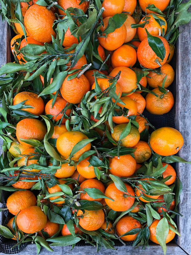 Impact of stem cells in skincare