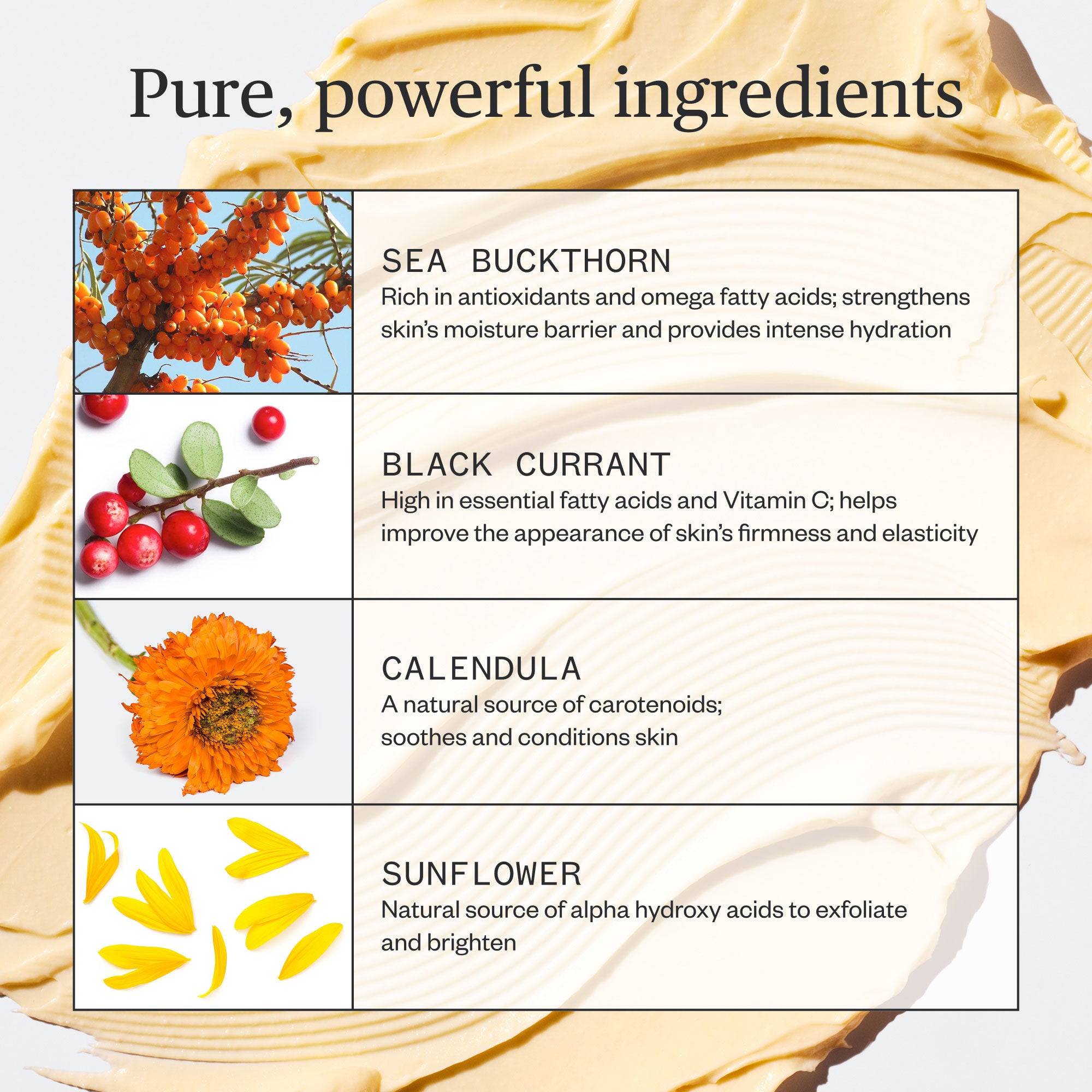 Golden Hour Recovery Cream