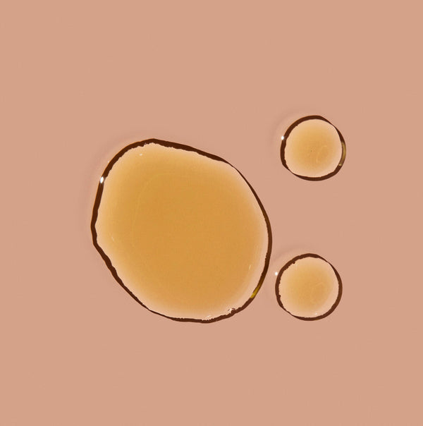 Undaria Algae Oil