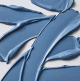 Purifying Blue Clay Mask